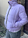 Коротка молодіжна жіноча куртка без капюшона "Дана", фото 2