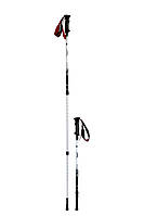 Трекінгові палиці Tramp Trekking TRR-003 140 см 4183752