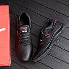 Чоловічі шкіряні кросівки Pm Y-707, фото 6