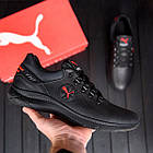 Чоловічі шкіряні кросівки Pm Y-707, фото 7