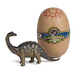 Розвиваючі 3D-головоломки динозаври в яйцях (20 шт) від Toyrifik, фото 7