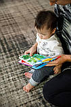 Розвиваюча книжка прорізувач для зубів від Baby Einstein, фото 9