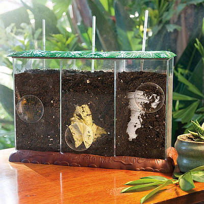 Природознавство