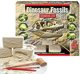 Науковий STEM набір Сяючі останки динозаврів (6 шт)