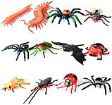 Розвиваючий STEM набір Комахи і ссавці (16 шт) від BOHS, фото 3