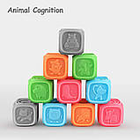 Розвиваючий набір М'які кубики (10 шт), фото 6