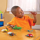 Розвиваючий науковий STEM набір Великі комахи (7 шт) від Learning Resources, фото 9