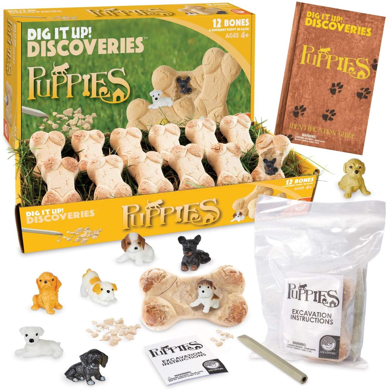 Науковий набір розкопки Цуценята (12 кісточок) від MindWare, фото 1