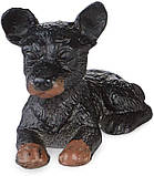 Науковий набір розкопки Цуценята (12 кісточок) від MindWare, фото 7