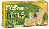 Науковий набір розкопки Цуценята (12 кісточок) від MindWare, фото 2