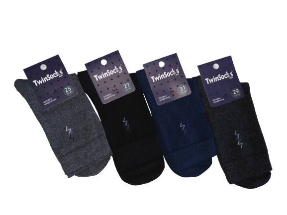 Шкарпетки чоловічі класичні демісезонні Тм TwinSocks
