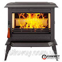 Камінна топка KAWMET Premium ATHENA (12,3 kW) EKO, фото 3