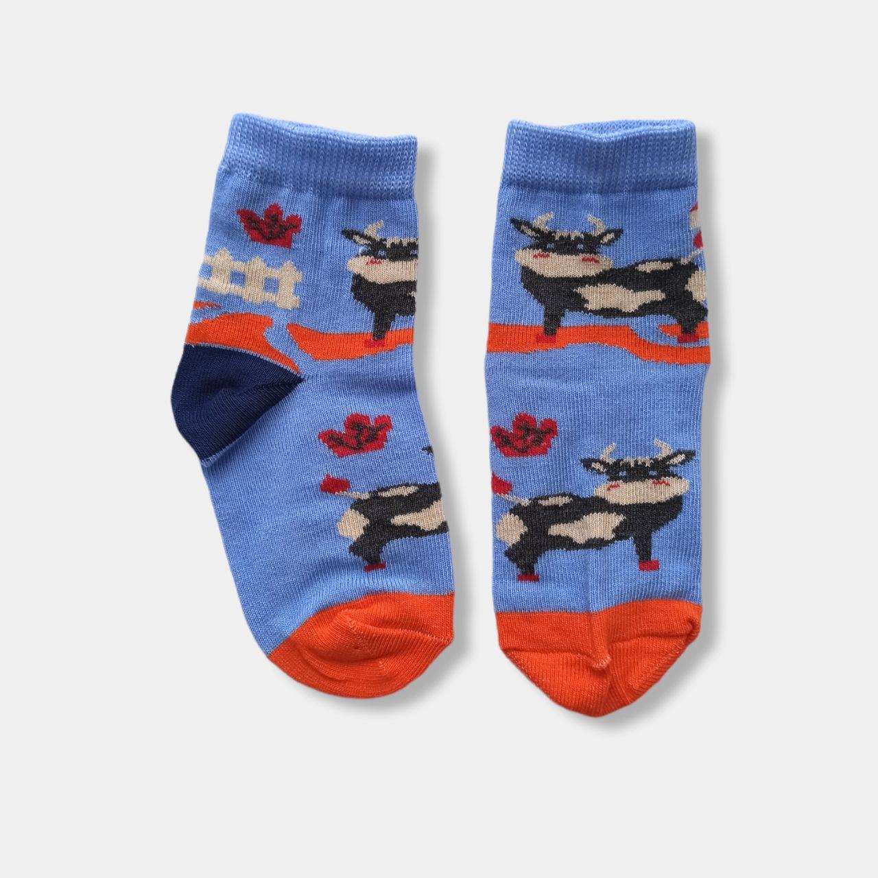 Шкарпетки для малюків з малюнками Twinsocks р-14-16(19-25) блакитні, бежеві, зелені, червоні