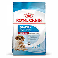 Royal Canin MEDIUM STARTER для кормящих сук и щенков средних пород - 1 кг