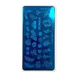 Пластина для стемпінгу RichColor №30