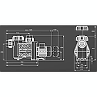 Насос циркуляційний для басейну Speck Badu Prime 20 (220 B, 20 м3/ч, 1 кВт), фото 2