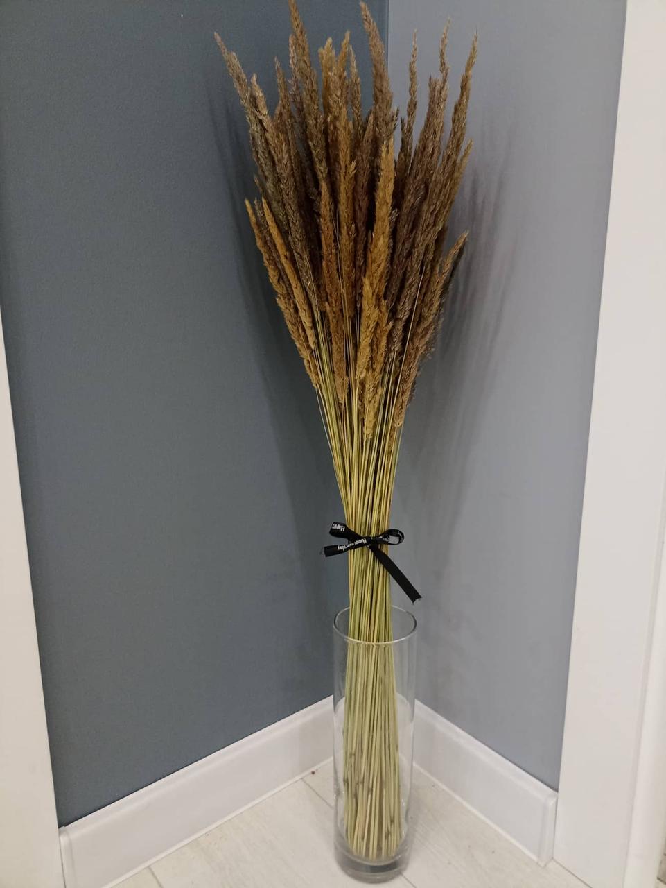 Натуральная пампасная трава куничник сухоцвет Beaflo для украшения дома, свадьбы, офиса, 110шт - фото 1 - id-p1652044269