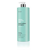 Шампунь для волосся очищаючий Erayba ABH Detox Refresh Shampoo 1000 мл