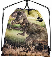 Мішок рюкзак для взуття на шнурках із принтом Динозавр для хлопчика SkyName М-178