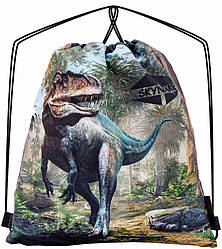 Мішок рюкзак для взуття на шнурках із принтом Динозавр для хлопчика SkyName М-152