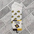 Шкарпетки короткі весна/осінь Rock'n'socks 345-28 Україна one size (37-40р) 20033774, фото 3