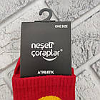 Шкарпетки високі весна/осінь Neseli Coraplar Athletic 6094 Туреччина one size (37-43р) НМД-0510694, фото 4