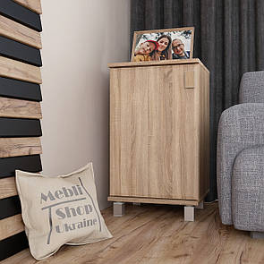 Приліжкова Тумба з дверкою і полицею