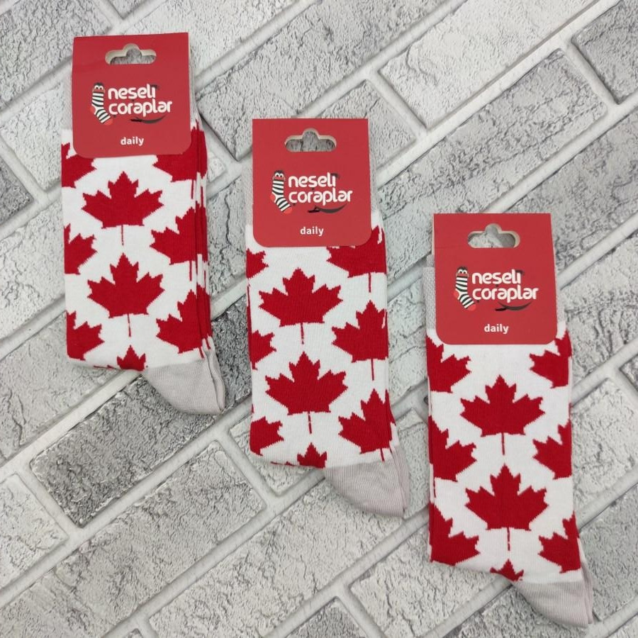 Шкарпетки високі весна/осінь Neseli Coraplar Daily Canada 5845 Туреччина one size (37-43р) 20033507, фото 1