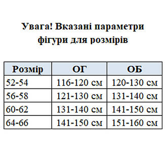 Теплі штани жіночі великого розміру Фліс, фото 4