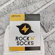 Шкарпетки високі весна/осінь Rock'n'socks 444-11 Україна one size (37-44р) НМД-0510484, фото 4