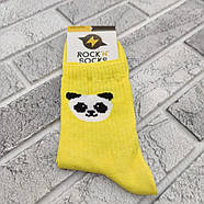 Шкарпетки високі весна/осінь Rock'n'socks 444-59 Україна one size (37-40р) НМД-0510508, фото 2