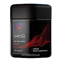 Антиоксидант MitoQ 10 мг, 60 капсул