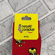 Шкарпетки високі весна/осінь Neseli Coraplar Daily 5962 Залізна людина Туреччина one size (37-43р) НМД-0510797, фото 4