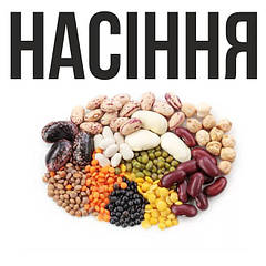 НАСІННЯ