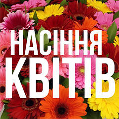 НАСІННЯ КВІТІВ