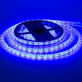 Світлодіодна стрічка синя 24V smd5050 60 LED/м IP65