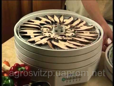 Ізідрі FD500 - сушарка для овочів і фруктів