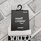 Шкарпетки високі весна/осінь Neseli Coraplar Athletic 2215 WHITE OFF Туреччина one size білі (37-43р) 20036119, фото 4