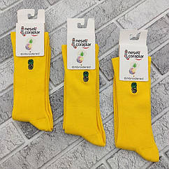 Шкарпетки високі весна/осінь вишивка Neseli Coraplar Daily 7301 Pineapple Туреччина one size (37-41р) 20035822