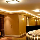 Світлодіодна стрічка 12V, smd5630, 60 led/m, 24W, IP20, 3000K - білий теплий, BP-G2-5630-60-WW-IP20-12V, фото 2