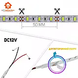 Світлодіодна стрічка 12V, smd5630, 60 led/m, 24W, IP20, 3000K - білий теплий, BP-G2-5630-60-WW-IP20-12V, фото 4