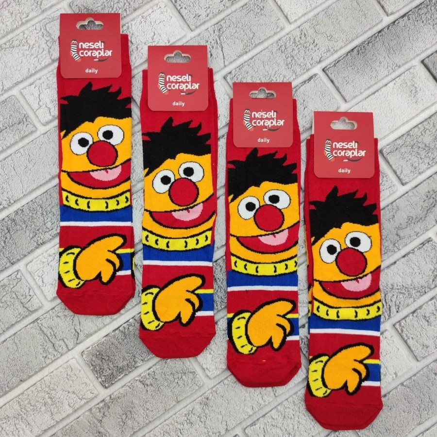 Шкарпетки високі весна/осінь Neseli Coraplar Daily Sesame Street Edi 7288 Туреччина one size (37-43р) 20034665