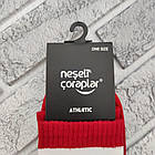 Шкарпетки високі весна/осінь Neseli Coraplar Athletic 6093 Туреччина one size (37-44р) 20033538, фото 3