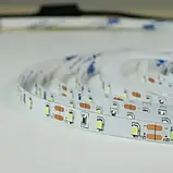 Світлодіодна стрічка 12V, 2835, 60 led/m, 6.5W, IP20, 3000K - білий теплий, Professiona BPS-G3-12-2835-60-WW-20, фото 5