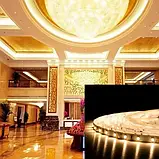 Світлодіодна стрічка 12V, 2835, 60 led/m, 6.5W, IP20, 3000K - білий теплий, Professiona BPS-G3-12-2835-60-WW-20, фото 2