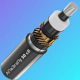 АПвЭгаПу 6 - 35 кВ 1Х240, фото 2