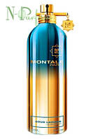 Montale Aoud Lagoon — Парфумована вода 100 мл (м'ятні)