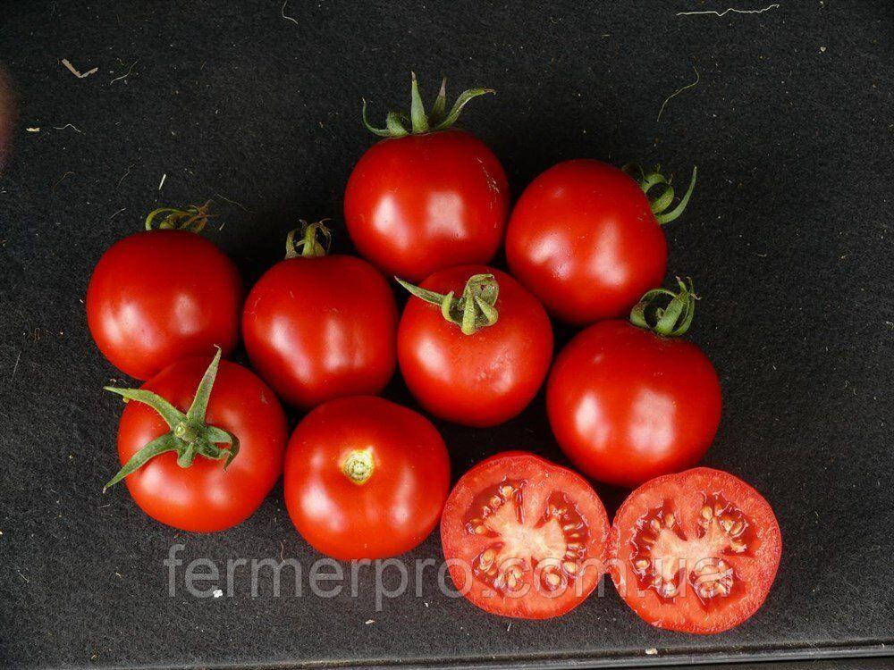 Насіння томату Партова F1 Seminis 250 насіння, фото 1