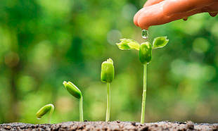 Біостимулятори