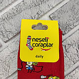 Шкарпетки високі весна/осінь Neseli Coraplar Daily 5964 Туреччина one size (37-40р) НМД-0510564, фото 5